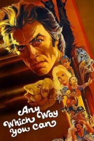 Any Which Way You Can 1980 on netflix