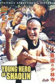 The Young Hero of Shaolin 1984 on netflix