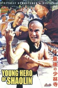 The Young Hero of Shaolin 1984 on netflix