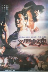 义胆忠魂 1991 on netflix