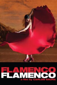 Flamenco Flamenco 2010 on netflix