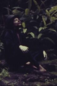 Adagio 1980 on netflix