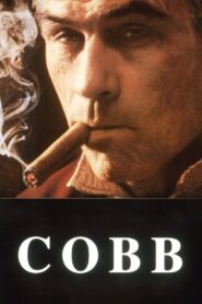 Cobb 1994 on netflix