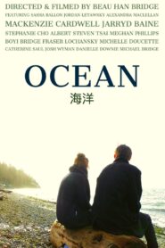 OCEAN 2020 on netflix