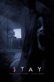 Stay 2021 on netflix