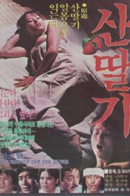 Mountain Strawberries 1982 on netflix