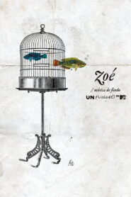 Zoe: Musica de Fondo (MTV Unplugged) 2011 on netflix