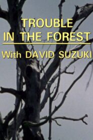Trouble in the Forest 1988 on netflix