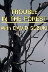 Trouble in the Forest 1988 on netflix
