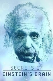 Secrets of Einstein’s Brain 2015 on netflix