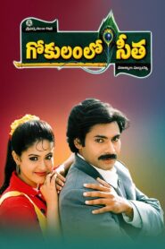 Gokulamlo Seetha 1997 on netflix