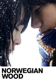 Norwegian Wood 2010 on netflix