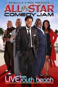 All Star Comedy Jam: Live from South Beach 2009 on netflix