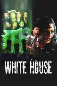 White House 2010 on netflix