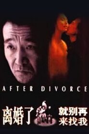After Divorce 1996 on netflix