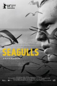 Seagulls 2014 on netflix
