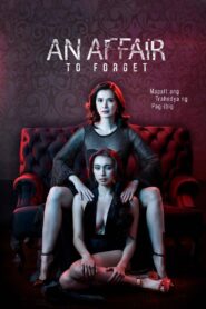 An Affair to Forget 2022 on netflix