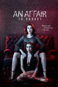 An Affair to Forget 2022 on netflix
