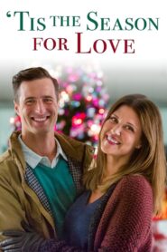 ‘Tis the Season for Love 2015 on netflix