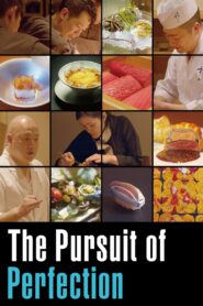 The Pursuit of Perfection 2024 on netflix