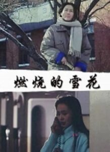 Burning Snow 1993 on netflix