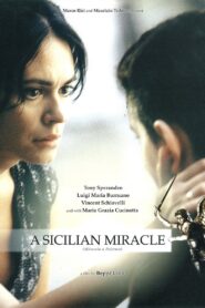 Miracolo a Palermo! 2005 on netflix