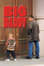 Big Daddy 1999 on netflix