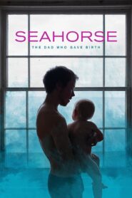 Seahorse: The Dad Who Gave Birth 2019 on netflix