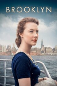 Brooklyn 2015 on netflix