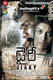 Diary 2009 on netflix