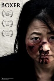 Boxer 2015 on netflix