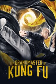 The Grandmaster of Kung Fu 2019 on netflix