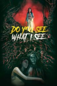 Do You See What I See 2024 on netflix
