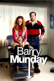 Barry Munday 2010 on netflix