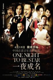 一夜成名 2012 on netflix