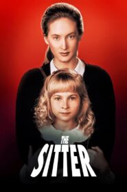 The Sitter 1991 on netflix
