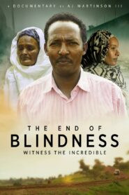 The End of Blindness 2021 on netflix