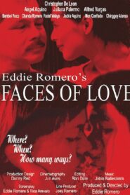 Faces of Love 2007 on netflix