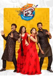 F2: Fun and Frustration 2019 on netflix