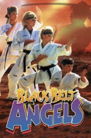Black Belt Angels 1994 on netflix
