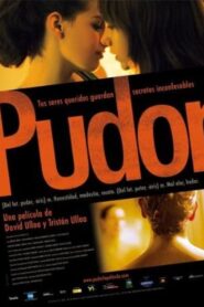 Modesty 2007 on netflix
