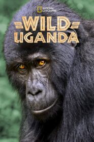 Wild Uganda 2018 on netflix