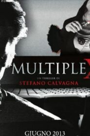 MultipleX 2013 on netflix