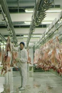 The Butcher’s Waltz 2014 on netflix