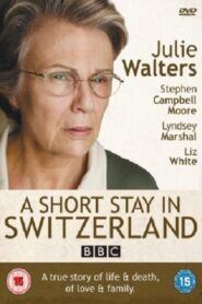 A Short Stay in Switzerland 2009 on netflix