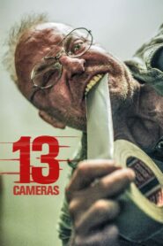 13 Cameras 2016 on netflix