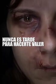 Nunca es tarde para hacerte valer 2009 on netflix