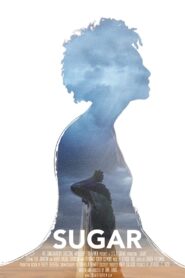 Sugar 2016 on netflix