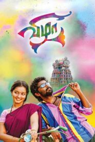 Vizha 2013 on netflix