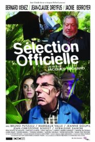 Sélection Officielle 2017 on netflix